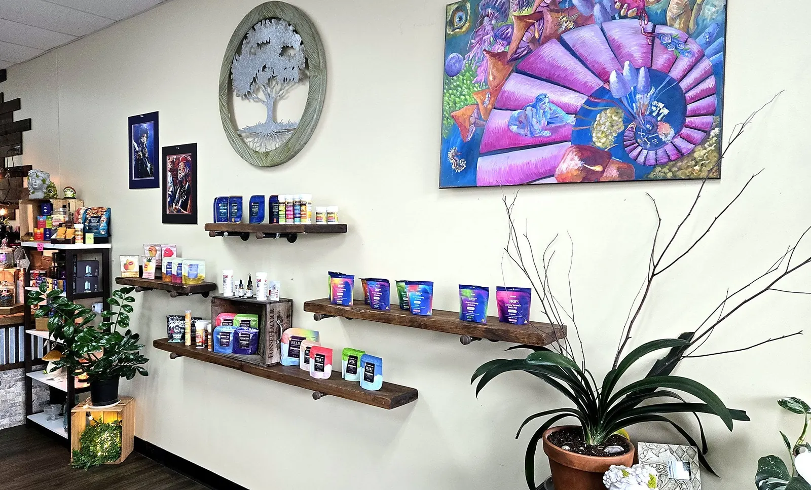 Shelf wall with tree medallion at Renewed Wellness Linglestown
